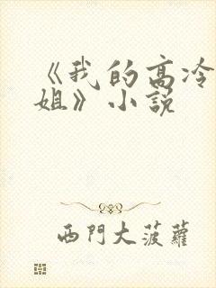 《我的高冷大小姐》小说
