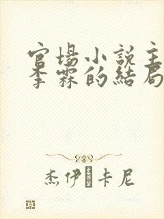 官场小说主人公李霖的结局封面