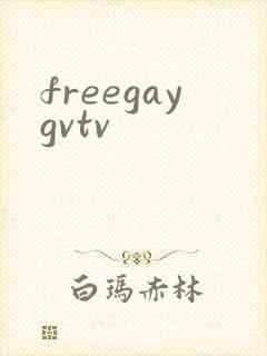 freegaygvtv
