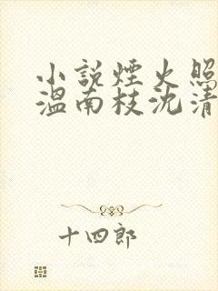 小说烟火照夜白温南枝沈清宴在线阅读