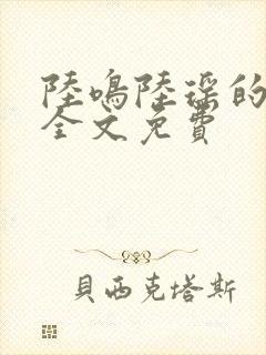 陆鸣陆瑶的小说全文免费