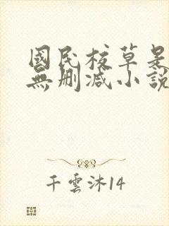 国民校草是女生无删减小说