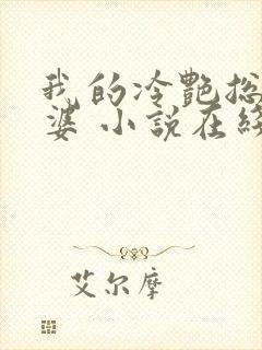 我的冷艳总裁老婆 小说在线阅读