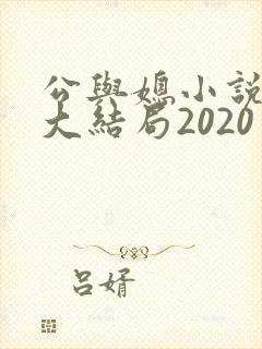 公与媳小说姚瑶大结局2020