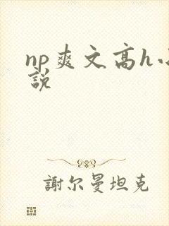 np爽文高h小说