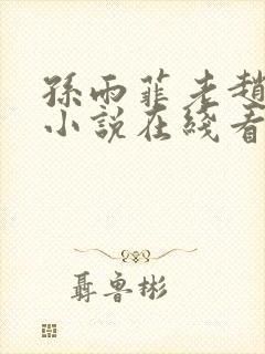 孙雨菲老赵表舅小说在线看免费阅读封面