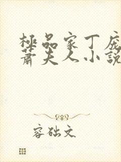 极品家丁庞管家萧夫人小说在线阅读