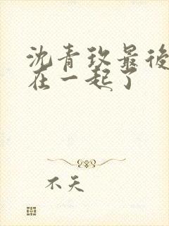 沈青玫最后和谁在一起了