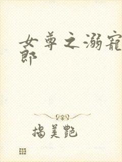 女尊之溺宠怯夫郎封面