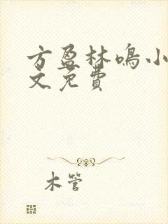 方盈林鸣小说全文免费