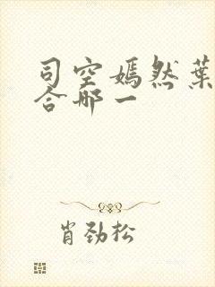 司空嫣然叶凡结合哪一封面