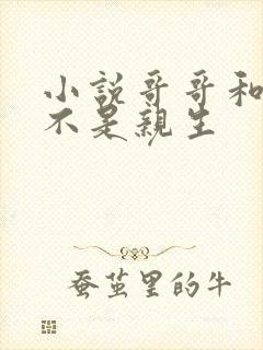 小说哥哥和妹妹不是亲生