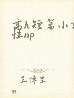 高h短篇小说双性np