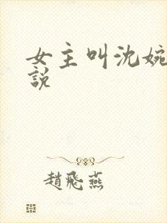 女主叫沈婉的小说