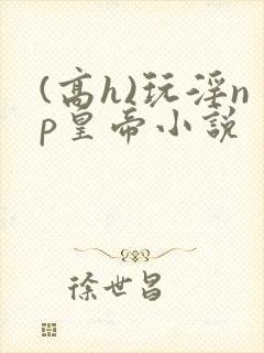 (高h)玩淫np皇帝小说