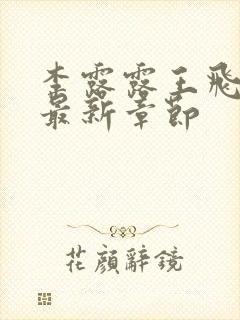 李露露王飞小说最新章节