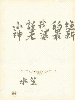 小说我的绝美女神老婆最新章节