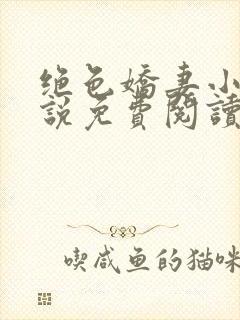 绝色娇妻小秋小说免费阅读