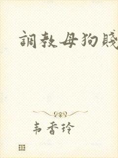 调教母狗贱逼封面