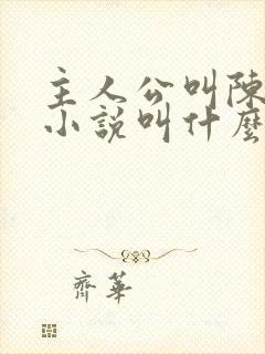 主人公叫陈阳的小说叫什么名字