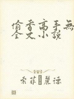 偷香高手无删减全文小说封面