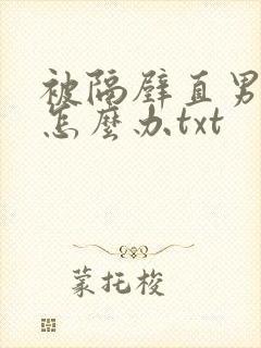 被隔壁直男看上怎么办txt