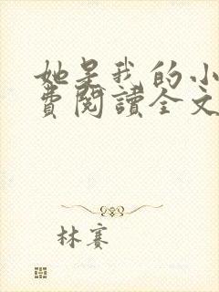 她是我的小说免费阅读全文