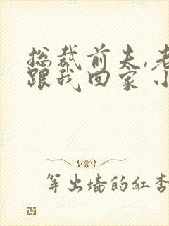 总裁前夫,老婆跟我回家 小说