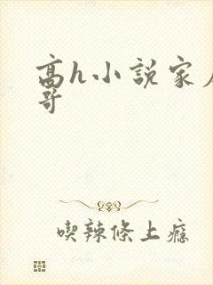 高h小说家庭哥哥封面