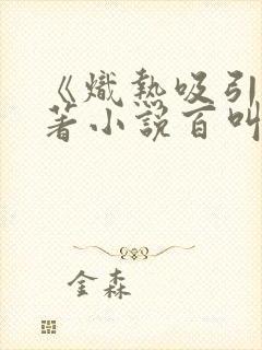 《炽热吸引》原著小说百叫什么名字