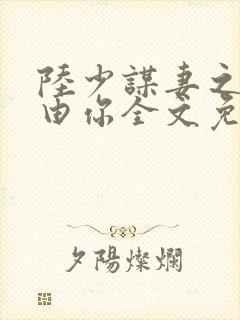 陆少谋妻之婚不由你全文免费阅读