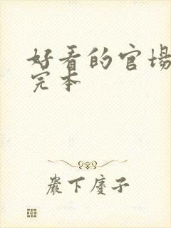 好看的官场小说完本