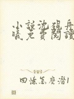 小说沈砚舟宁若曦免费阅读