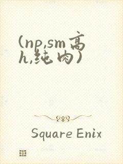 (np,sm高h,纯肉)
