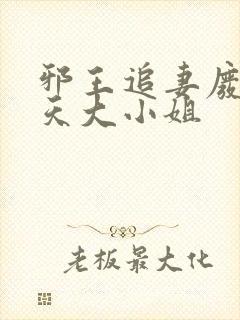 邪王追妻废材逆天大小姐