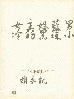 女主姓蓝男主姓冷的黑道小说