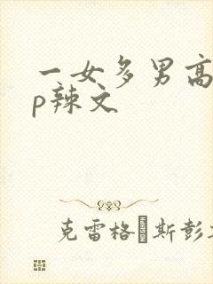 一女多男高hnp辣文