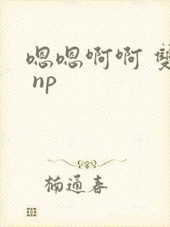嗯嗯啊啊 双性 np
