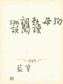 sm调教母狗小说阅读