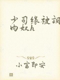 少司缘被调教成肉奴h