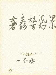 女主姓凤男主姓君的玄幻小说