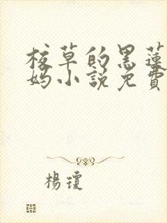 校草的黑莲花亲妈小说免费笔趣阁