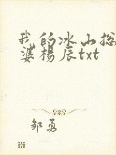 我的冰山总裁老婆杨辰txt