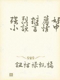 强烈推荐好看的小说言情中短篇