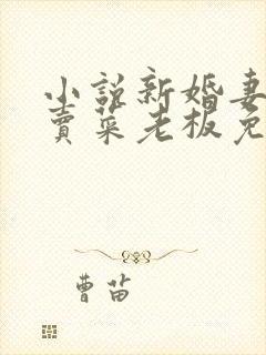 小说新婚妻子与卖菜老板免费阅读封面