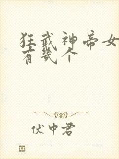 狂武神帝女主角有几个封面