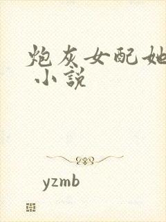 炮灰女配她超a 小说封面