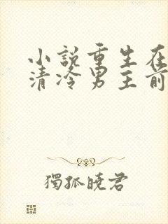 小说重生在折辱清冷男主前免费阅读