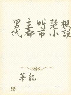 男主叫楚枫的现代都市小说