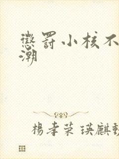 惩罚小核不停高潮封面